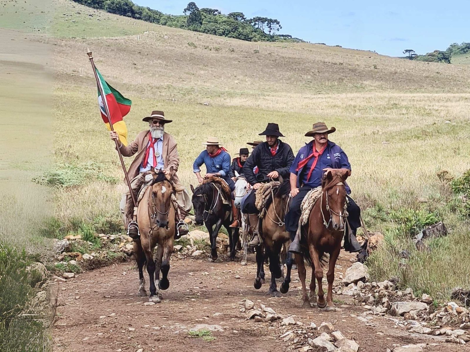 Rota dos Tropeiros no Brasil: História, Origem e Legado Cultural